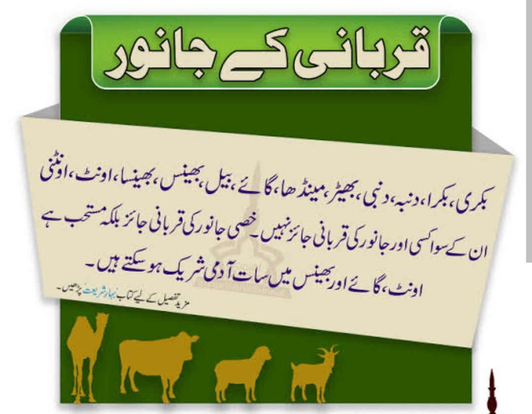 قربانی کے جانور